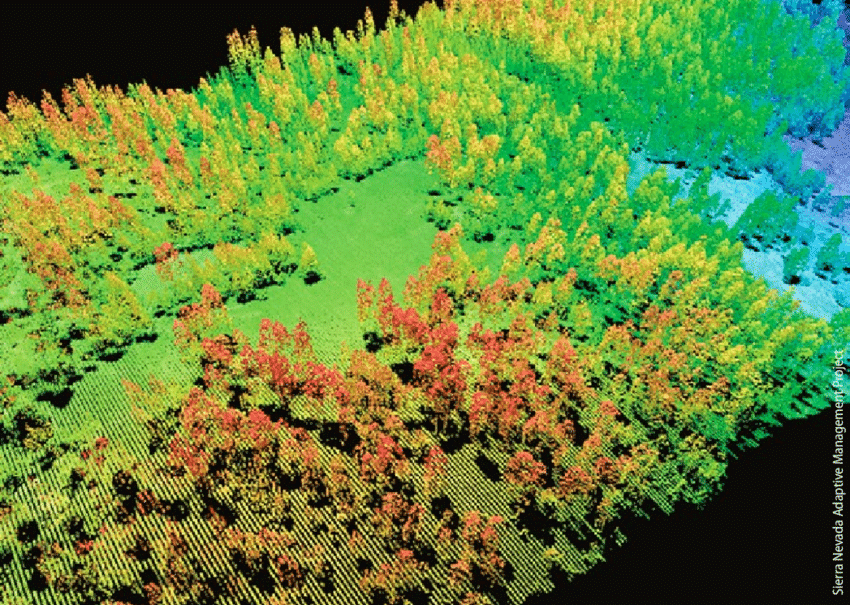 LiDAR and satellite imagery for reforestation verification