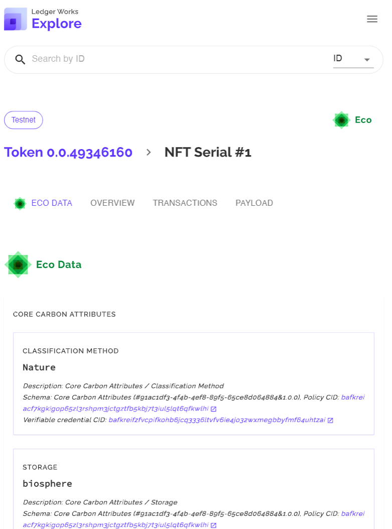 Ledgerworks Screenshot showing a partialextract of a TYMLEZ token